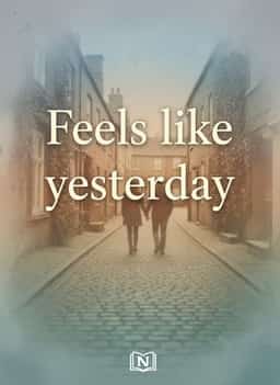 Feels like yesterday novel cover