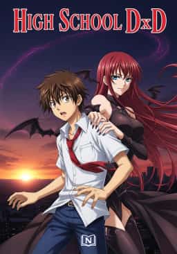 High School DxD novel cover
