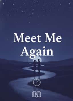 Meet Me Again novel cover
