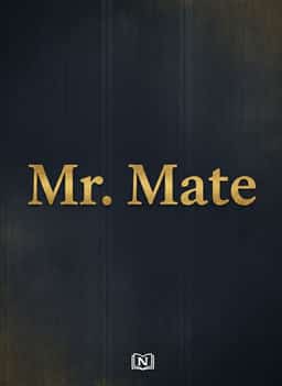 Mr. Mate novel cover