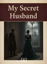 My Secret Husband