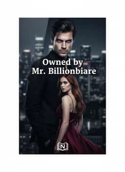 Owned by Mr. Billionaire