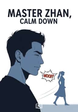 Master Zhan, Calm Down novel cover